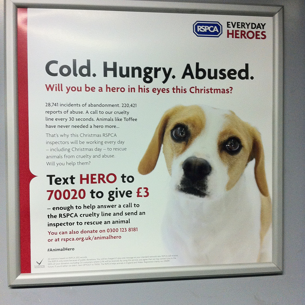 RSPCA Ad for abused dogs