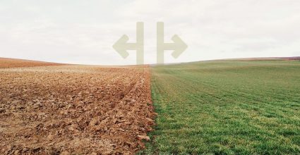 Image of two fields 